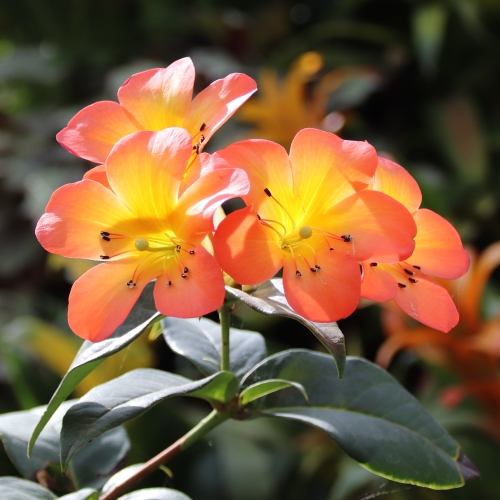 http://www.gardensbythebay.com.sg/en.html
