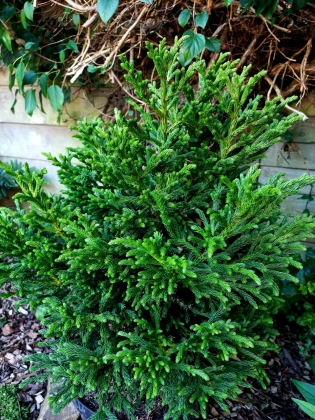 Les jardins du Florilège à Bastogne (Belgique) - 09/2025