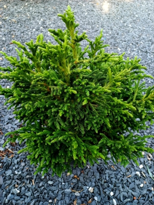 Les jardins du Florilège à Bastogne (Belgique) - 09/2025