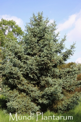 Domaine d'Herkenrode à Wespelaar (Belgique) - 05/2014